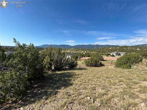 110 Hideaway Trail, Rockvale, CO 81244