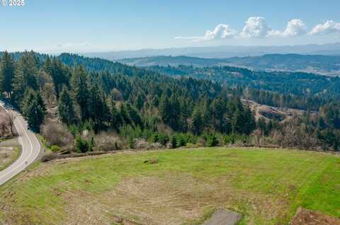 35963 SW BALD PEAK RD, Hillsboro, OR 97123