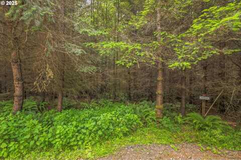 Grand Rdg RD, Toutle, WA 98649
