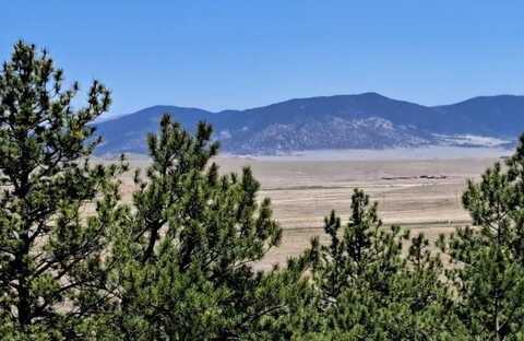 550 WOROKA TRAIL, Hartsel, CO 80449