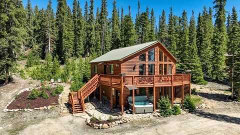 1387 BOBCAT LANE, Fairplay, CO 80440