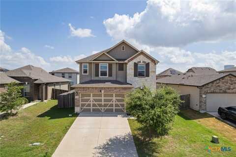 13821 Benjamin Harrison Street, Manor, TX 78653