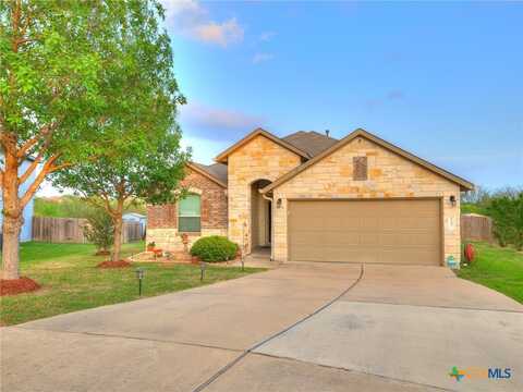 6097 Heron Drive, Buda, TX 78610