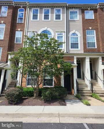 42233 TERRAZZO TERRACE, ALDIE, VA 20105