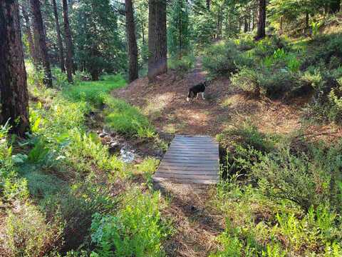 012-190-024 Main Street, Calpine, CA 96124