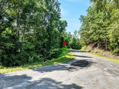 Grandpas Ridge lot: 70, Sharps Chapel, TN 37866