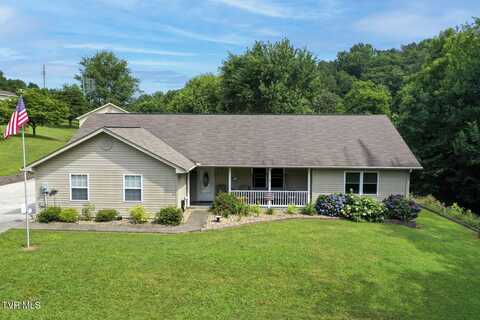 1733 Oakdale Drive, Dandridge, TN 37725