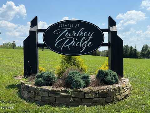 Lot 2 Turkey Ridge Lane, Piney Flats, TN 37686