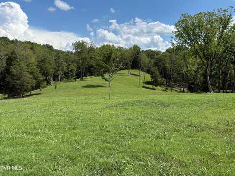 2246 Turkey Ridge Lane Drive, Piney Flats, TN 37686