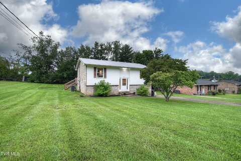 220 Tallman Drive, Blountville, TN 37617