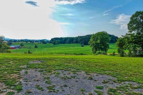 171 Hartmantown Road, Jonesborough, TN 37659