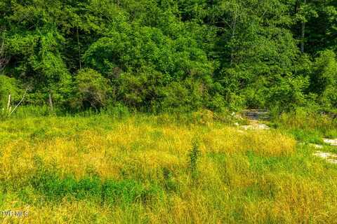 115 Willis Road, Rogersville, TN 37857