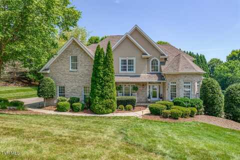 3 Chestnut Ridge Court, Jonesborough, TN 37659