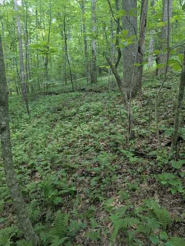 Scenic Place, MONTEREY, TN 38574