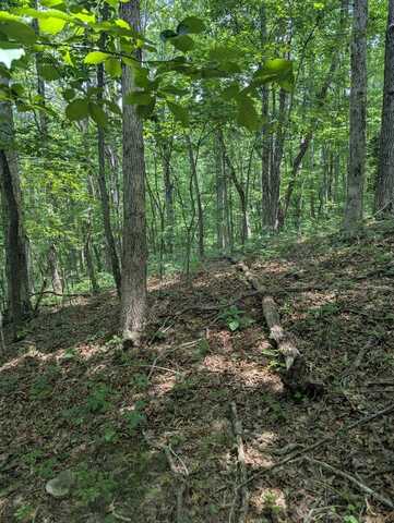 Belmont Dr, MONTEREY, TN 38574