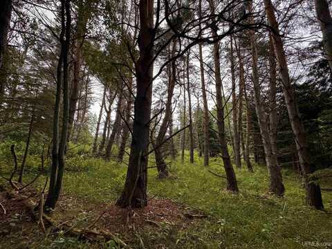 TBD 5.23 Messner, Baraga, MI 49908