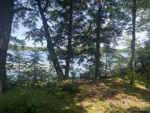 TBD EN-A-WEN-DA-WIN, Watersmeet, MI 49969