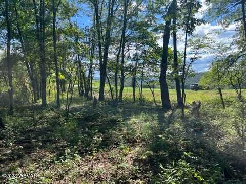 PARCEL 178.01 WINDFIELD DRIVE, Williamsport, PA 17701