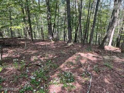 Parcel 178.01 WINDFIELD DRIVE, Williamsport, PA 17701