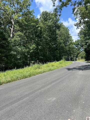 Bluegrass Est 6 Canton Blue Springs Road, Cadiz, KY 42211
