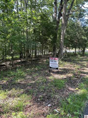 Bluegrass Est 6 Canton Blue Springs Road, Cadiz, KY 42211