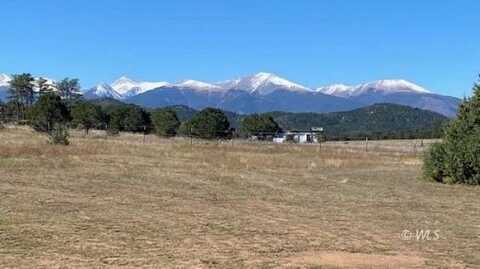 2026 L Path, Cotopaxi, CO 81223