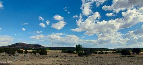 1 County Road 5088, Concho, AZ 85924