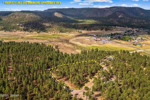 Tbd CR2325, Alpine, AZ 85920