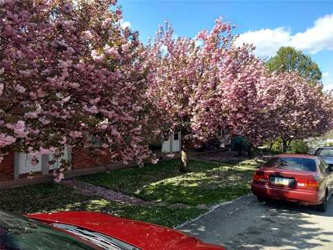 633 American St, California, PA 15419