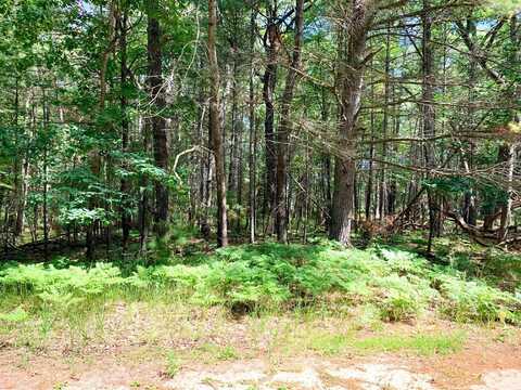 W Nestel Road lot: 23, Prudenville, MI 48651
