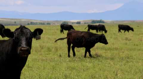 48999 County Road 48, Other - Not in list, CO 81059