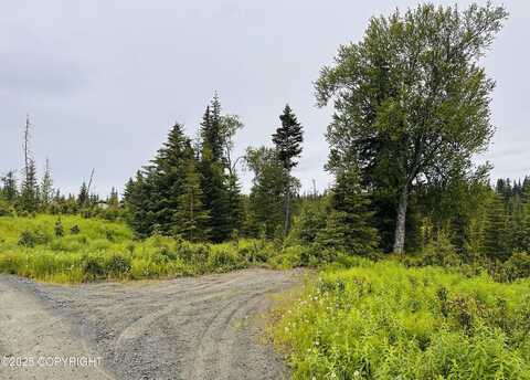 31315 Birch Haven Road, Anchor Point, AK 99556