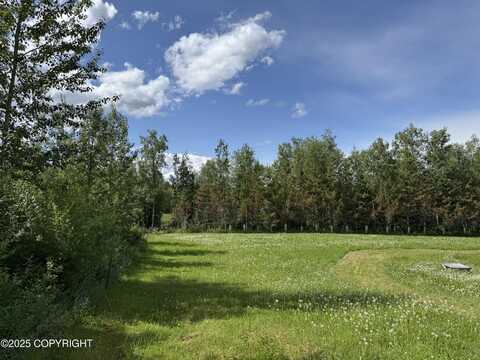 15800 E Shangrila Drive, Talkeetna, AK 99676