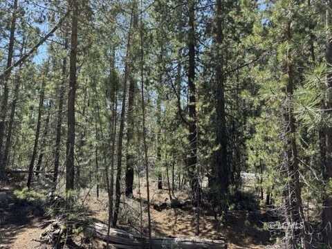 Gabriel Court, Crescent Lake, OR 97733