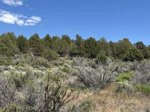 Medicine Mountain Drive, Beatty, OR 97621