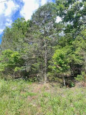 000 Sailboat DR, Holiday Island, AR 72631