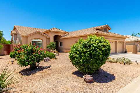 24210 S CACTUS FLOWER Drive, Sun Lakes, AZ 85248