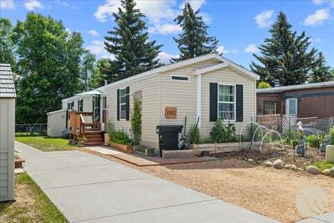 1012 Coutts Ave, Red Lodge, MT 59068