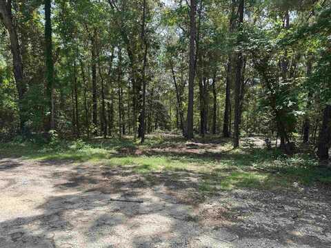 107 Pine High Lane, Brookeland, TX 75931