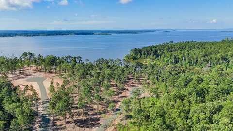 021 Rayburn Ridge Road, Pineland, TX 75968