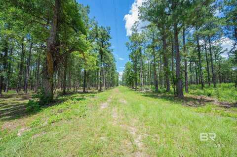 0 Hurricane Road, Bay Minette, AL 36507