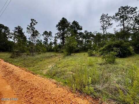 Tbd Wildrose Lane, Chipley, FL 32428