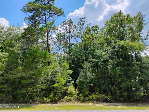 Lot 3 Shenandoah Boulevard, Chipley, FL 32428