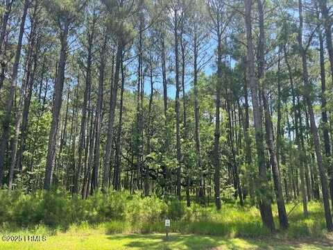 177 Bridle Path Boulevard, Hardeeville, SC 29927