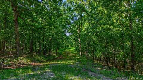 Lot 1169,1143 Elliott Place, Edwards, MO 65329