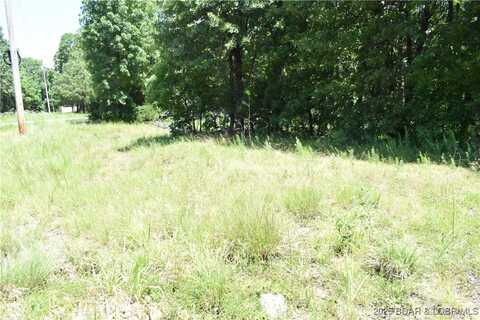 Cup Tree Drive, Gravois Mills, MO 64490