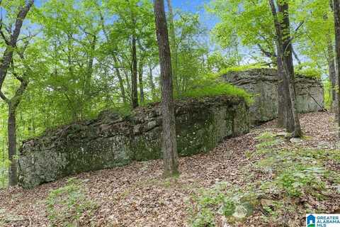 00 HIGHWAY 9, HAYDEN, AL 35079