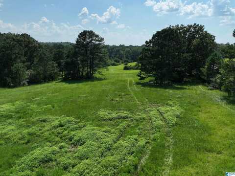 0 COUNTY ROAD 295, JEMISON, AL 35085