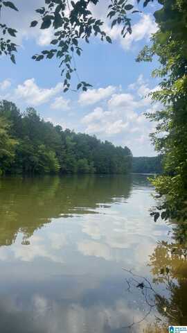 Lot 24,23,16,17 PINE THICKET TRAIL, WEDOWEE, AL 36278