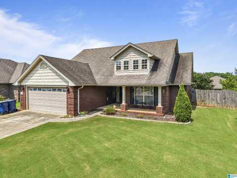 417 ROCK VIEW TRAIL, MAYLENE, AL 35114